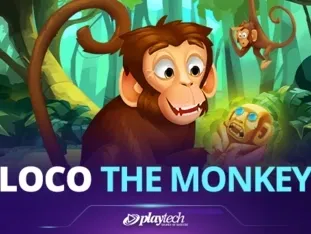 Loco The Monkey